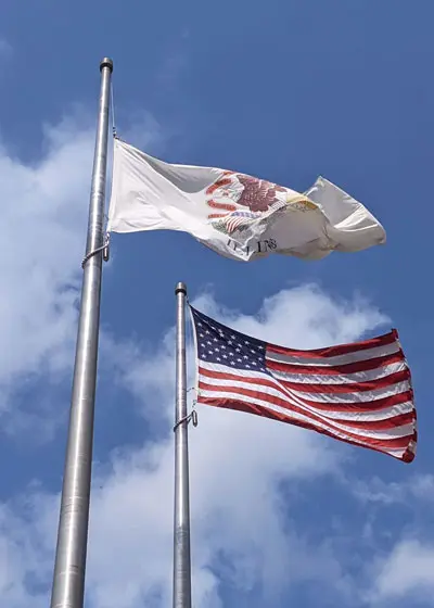 Image of flags