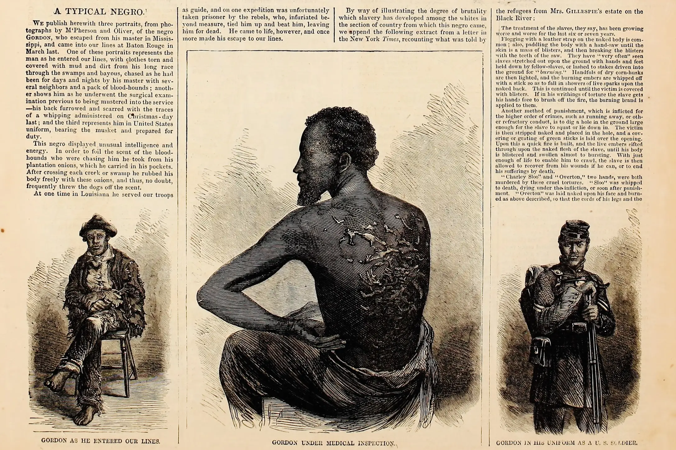 A clipping from Harper's Weekly entitled "A Typical Negro." It features three illustrations of African American men.